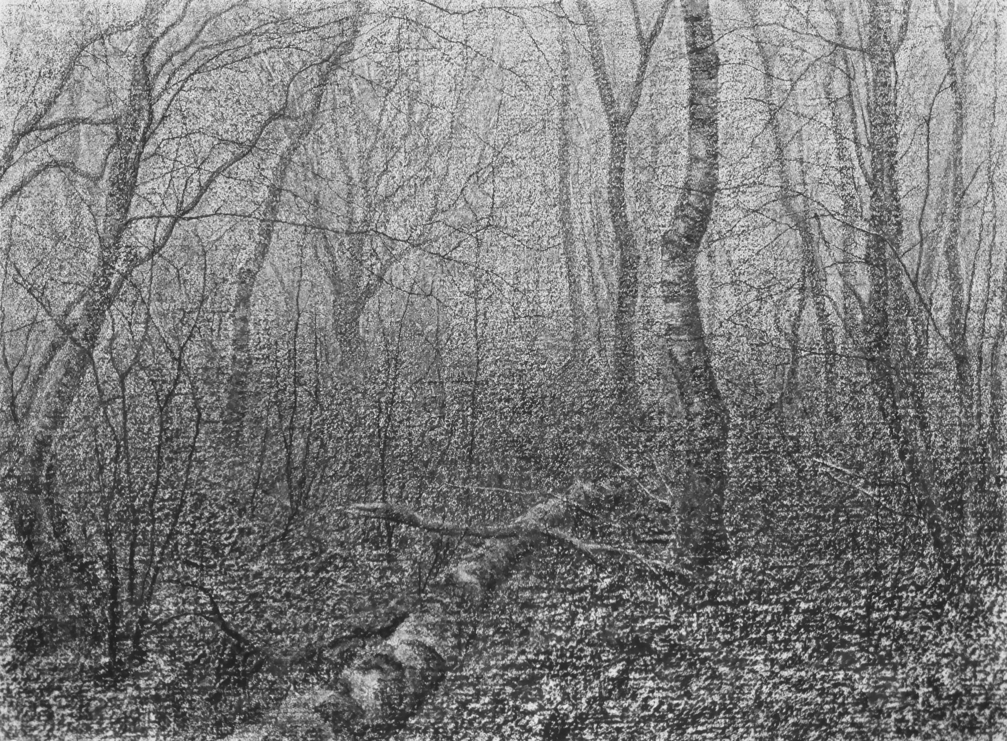 Woodland