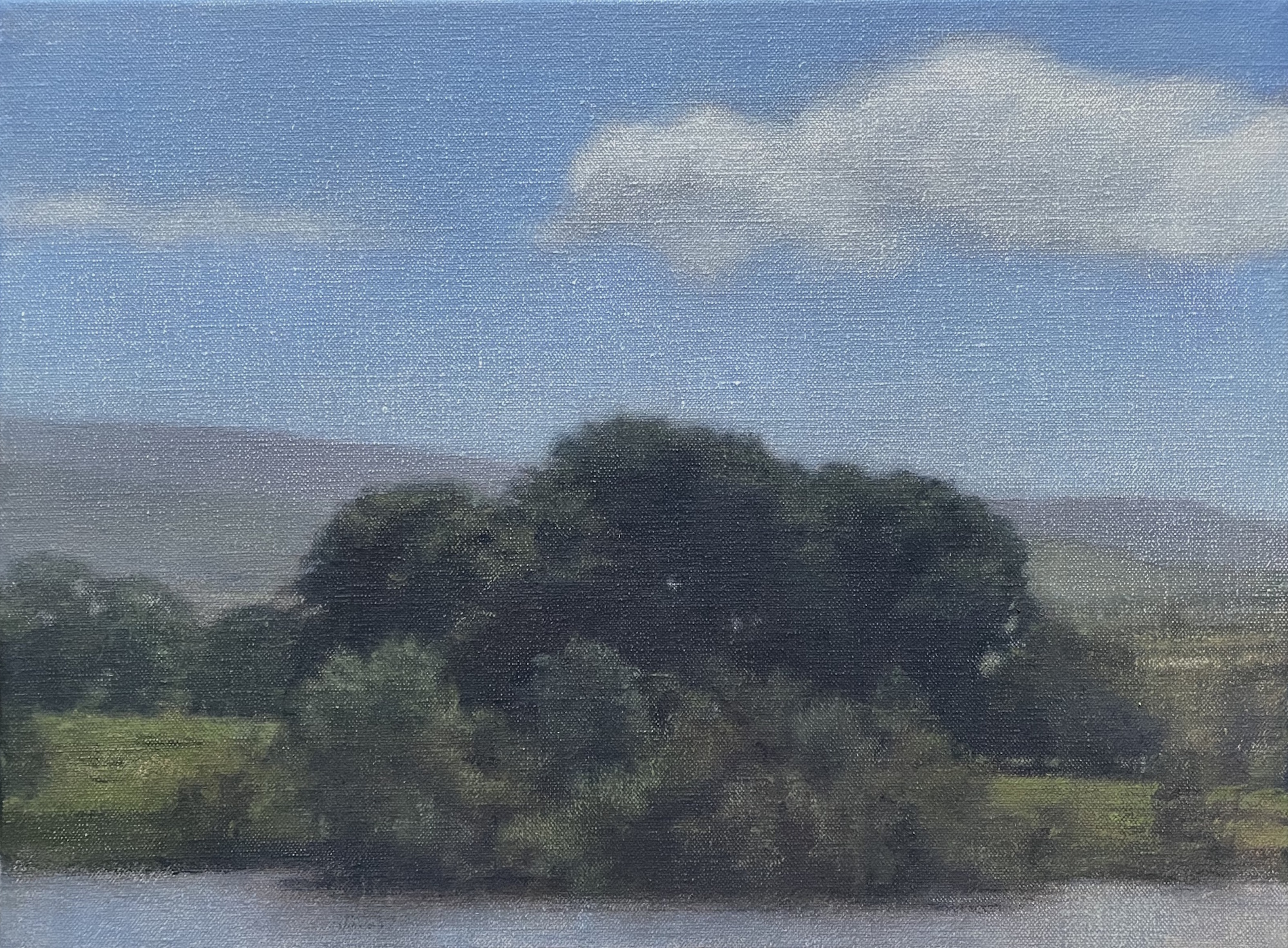 Cloud Beyond Lakeside Copse