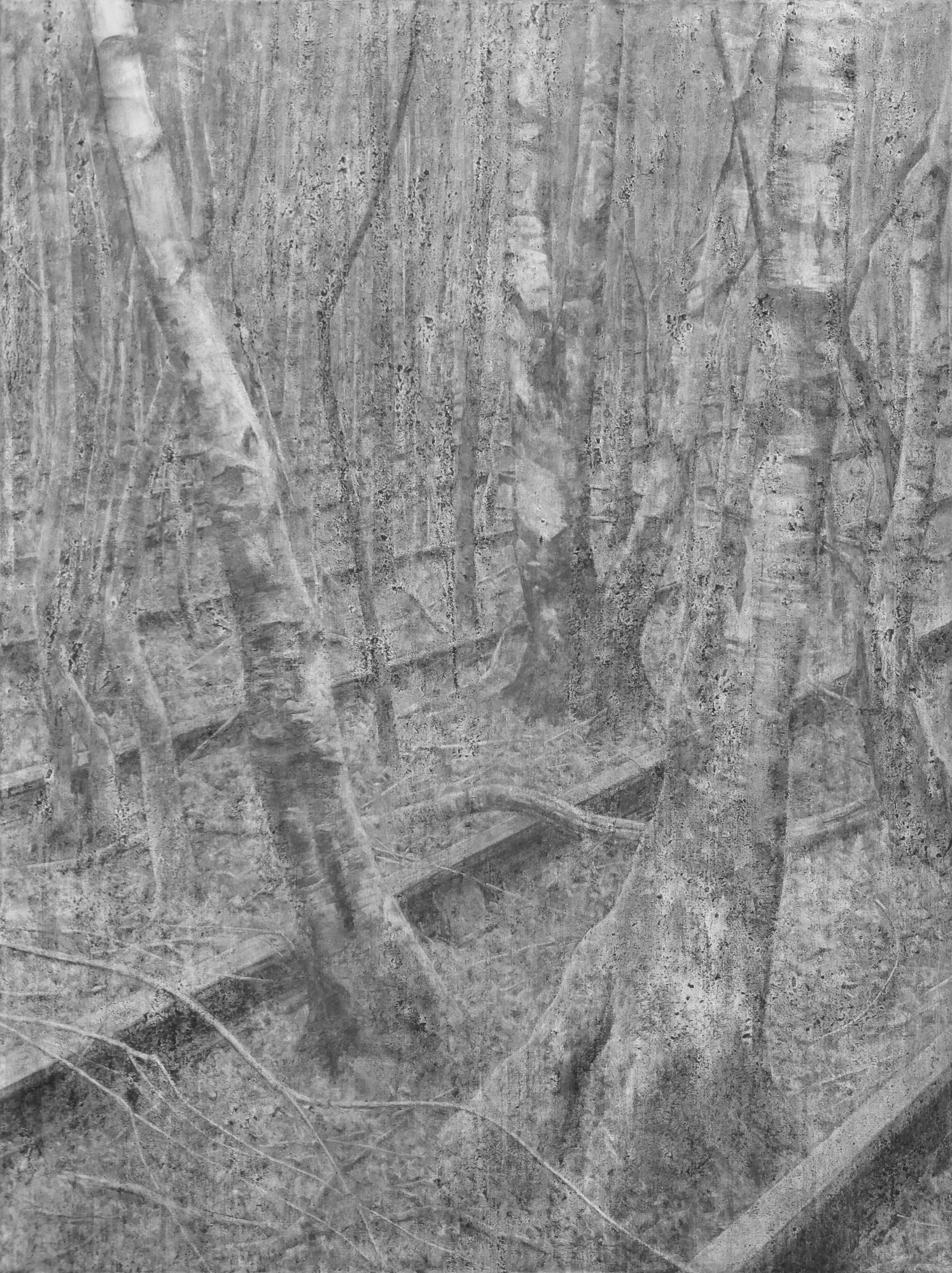 Siding study (vi)