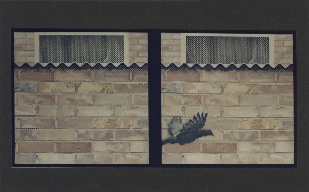 Council housing estate, brick wall, pigeon, 