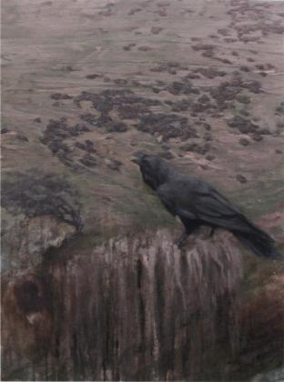 a raven on the back of a sheep